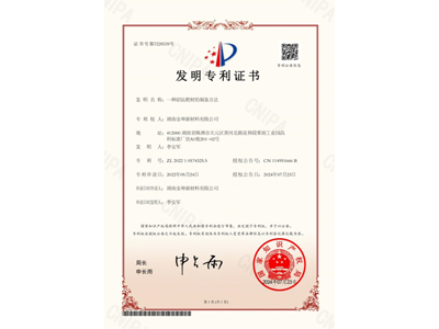 發明專利2