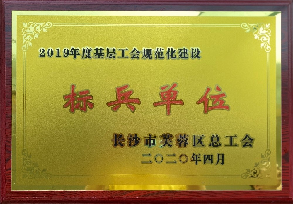 2019年大新浪潮工會(huì)榮譽(yù)分享